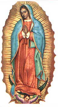 Our Lady of Guadelupe